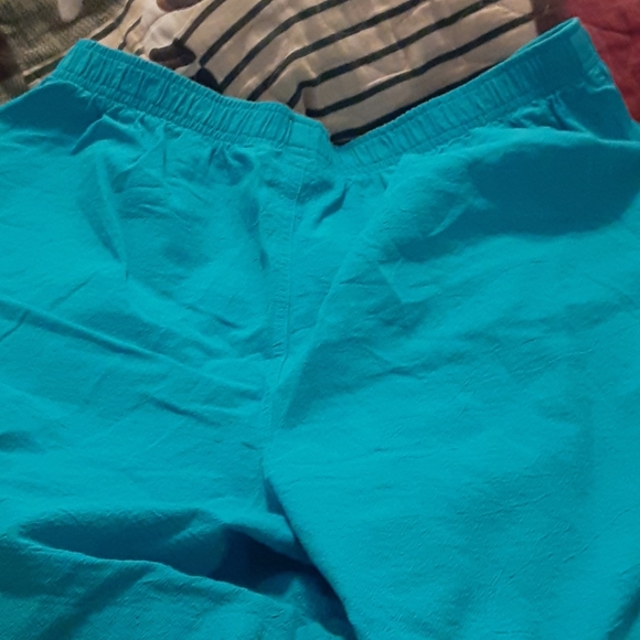 Kim Roger's 1g turquoise  shorts - Picture 4 of 5